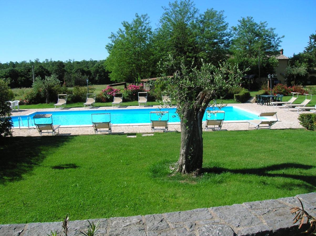 Agriturismo Buonasera Bagnoregio Εξωτερικό φωτογραφία