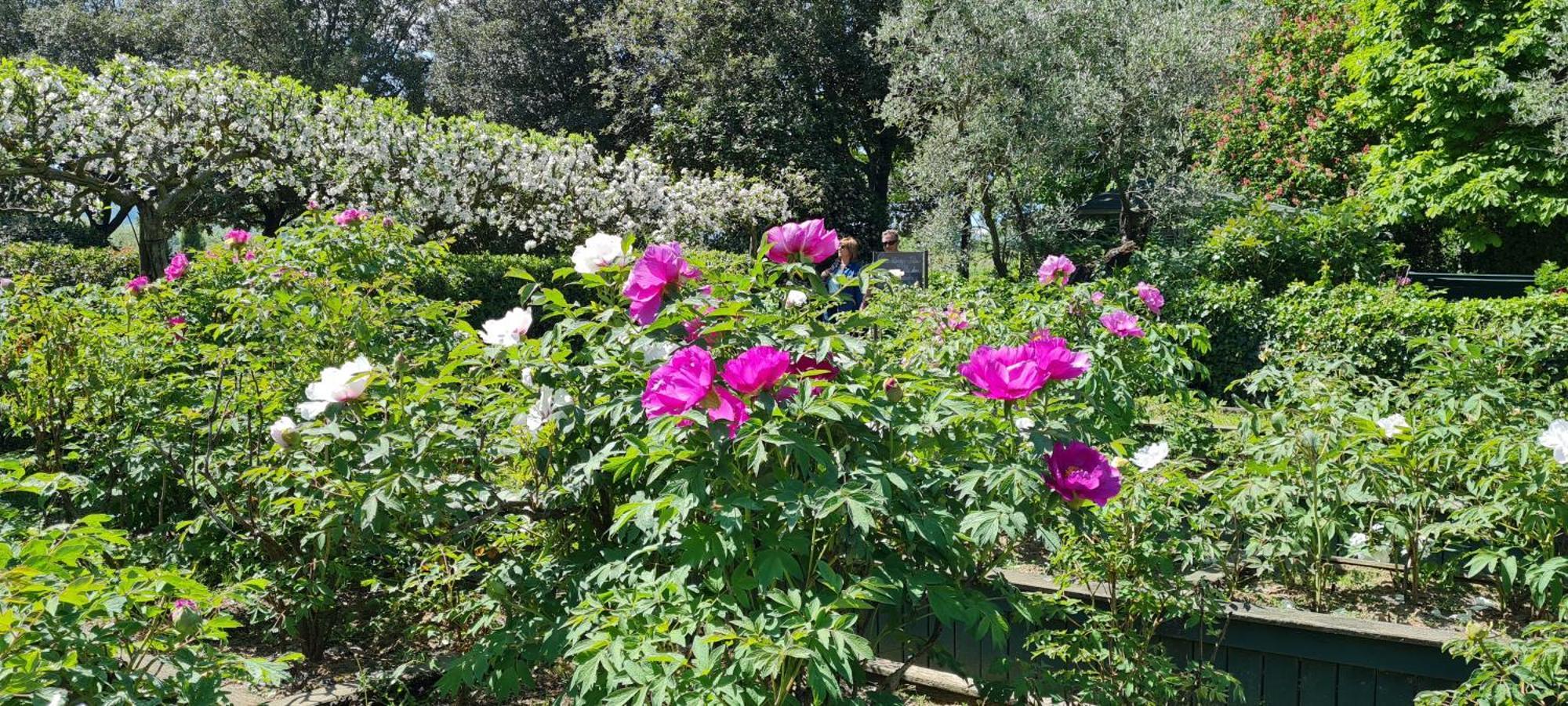 Agriturismo Buonasera Bagnoregio Εξωτερικό φωτογραφία